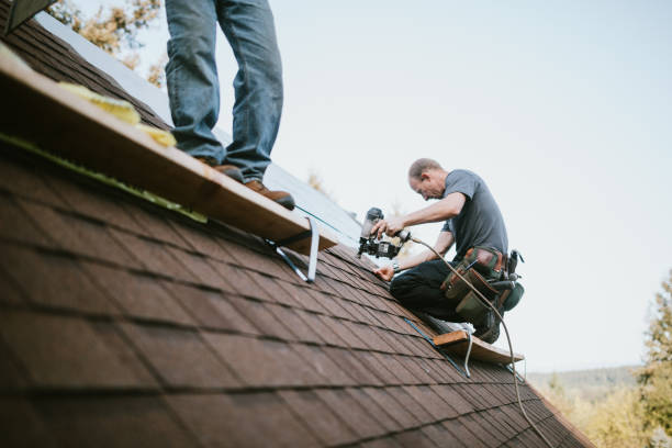Best Roof Leak Repair  in Ellis, KS